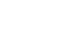 cruise-ship icon