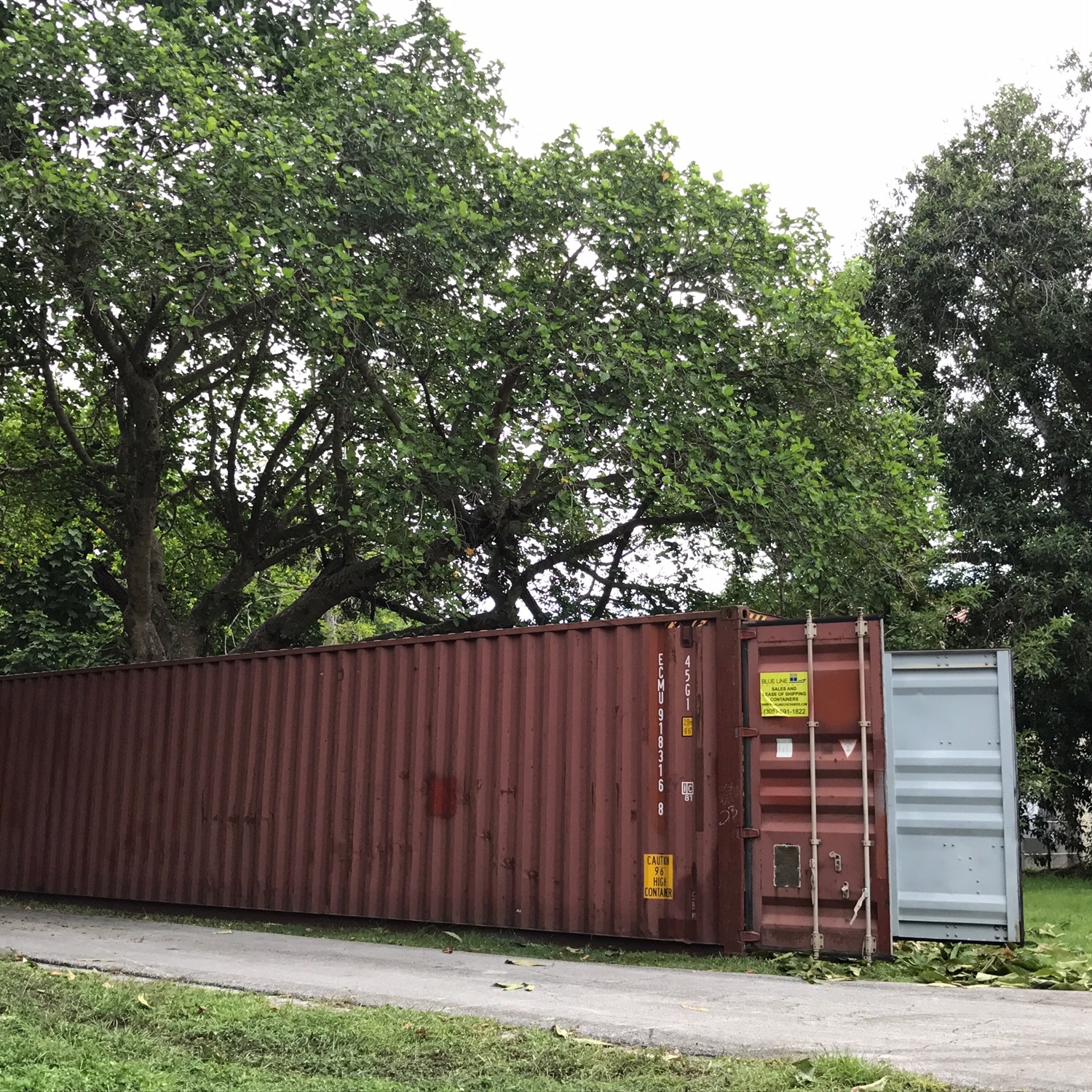 Containers from DGD Transport to Help Cocoa Trees From Hurricane Irma Florida