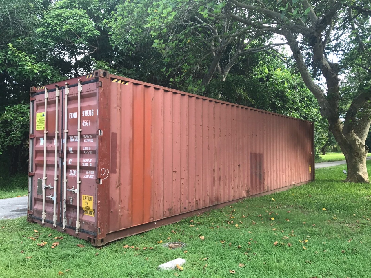hurricane irma saving cocoa trees