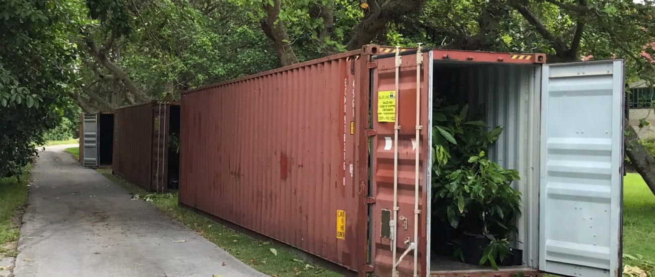 Containers sent from DGD Transport to Help Cocoa Trees From Hurricane Irma