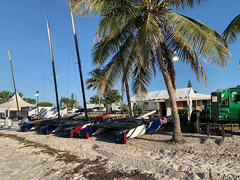 RedBull Hydrofoils and palm tree in Miami Florida